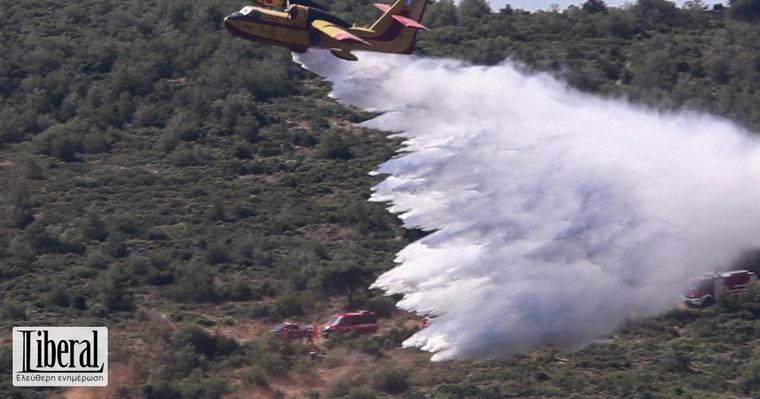 11:06 Εύβοια: Οριοθετήθηκε σε 20 λεπτά η φωτιά στον Αετό Καρύστου