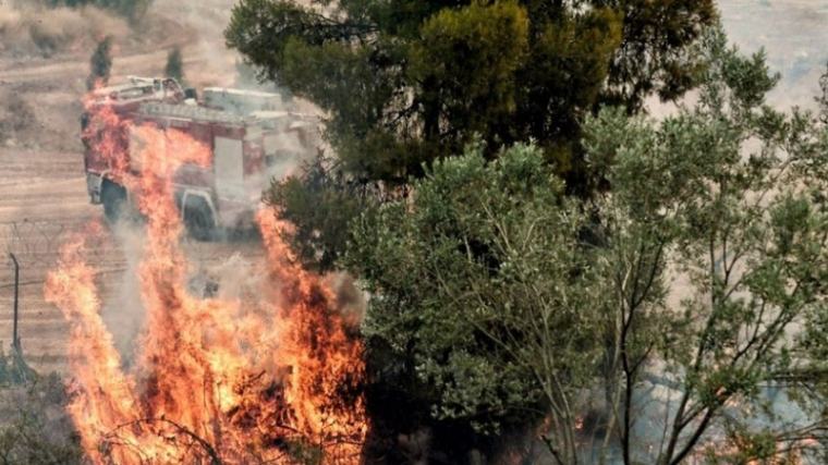 Θεσσαλονίκη: Προκαταρκτική εξέταση για το ενδεχόμενο καλώδια του ΔΕΔΔΗΕ να ευθύνονται για τις πυρκαγιές