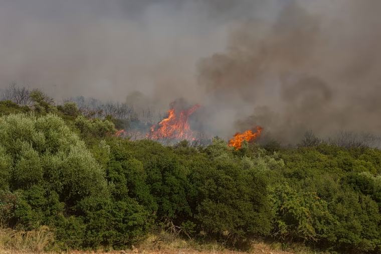 Φωτιά σε δύο μέτωπα στην Ηλεία – Ήχησε το 112